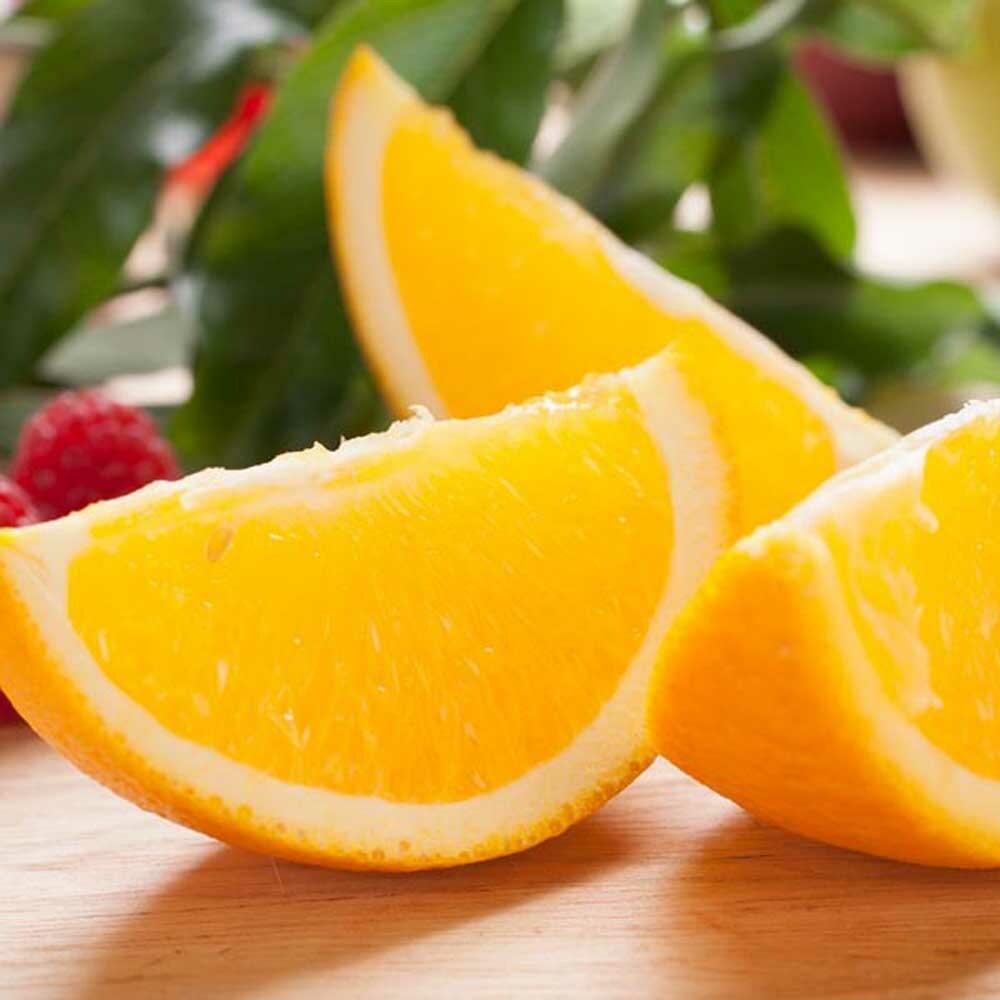 Citrus Punch Flavor Concentrate, Organic