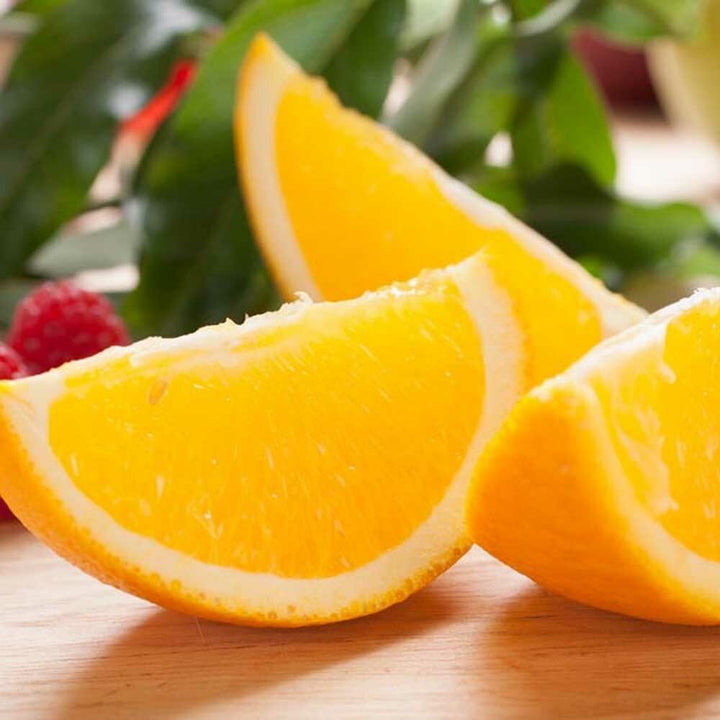 Citrus Punch Flavor Concentrate, Organic