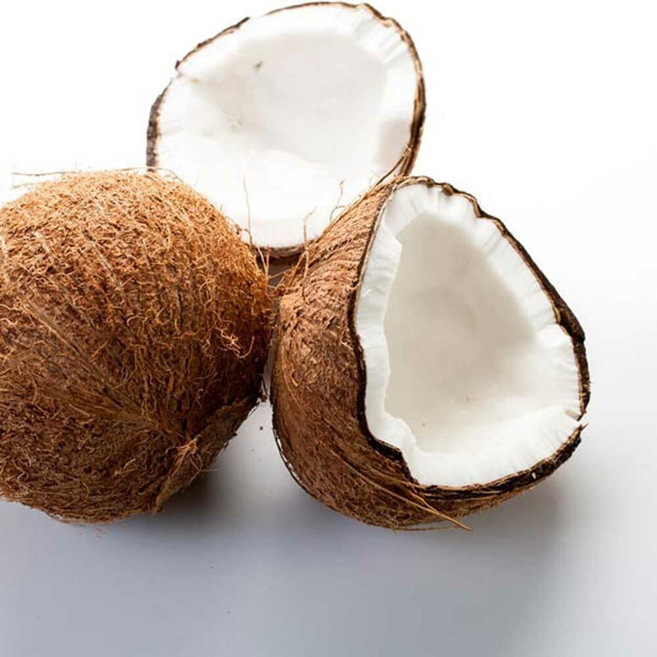 Organic Coconut Flavor Oil for Lip Balm