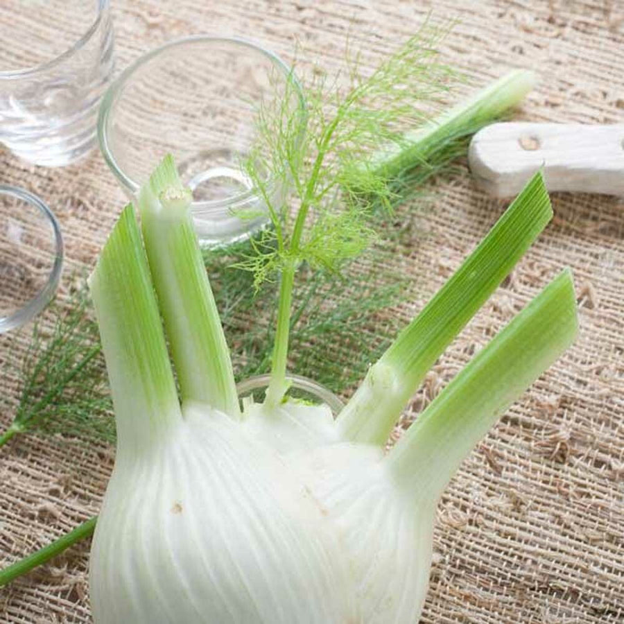 Fennel Flavor Extract, Organic