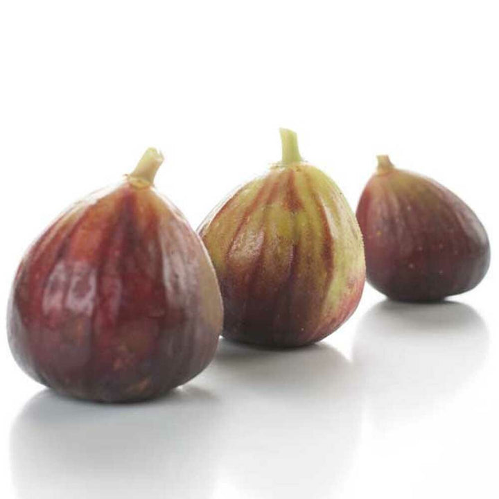 Fig (Mediterranean) Fragrance Oil (Oil Soluble)