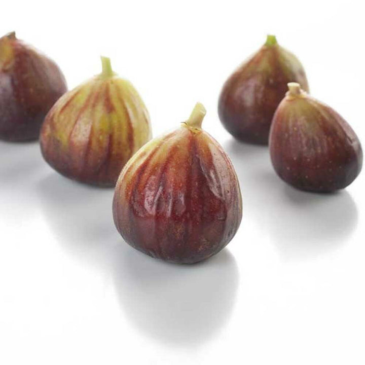 Fig (Mediterranean) Fragrance Oil (Oil Soluble), Organic