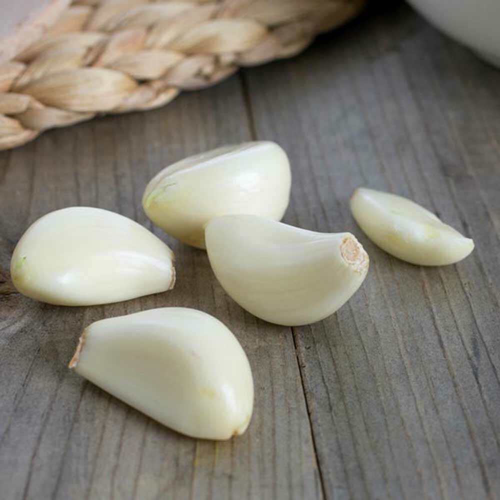 Garlic Flavor Concentrate, Natural