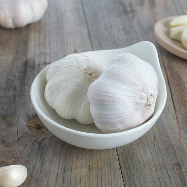 Garlic Flavor Concentrate, Organic