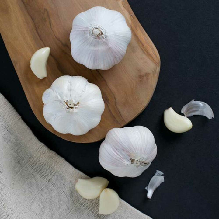 Garlic Flavor Extract, Organic