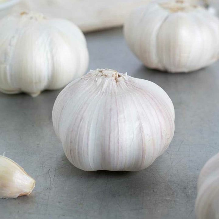 Garlic Flavor Oil, Organic