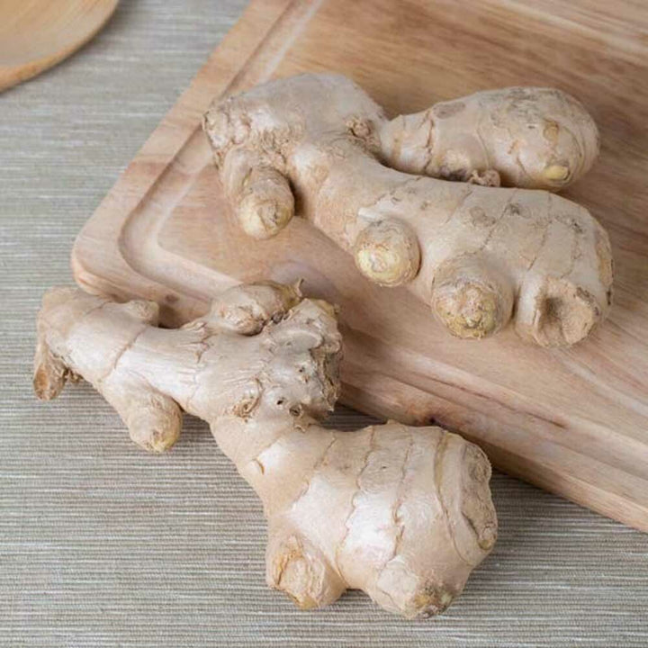 Ginger Flavor Oil, Natural