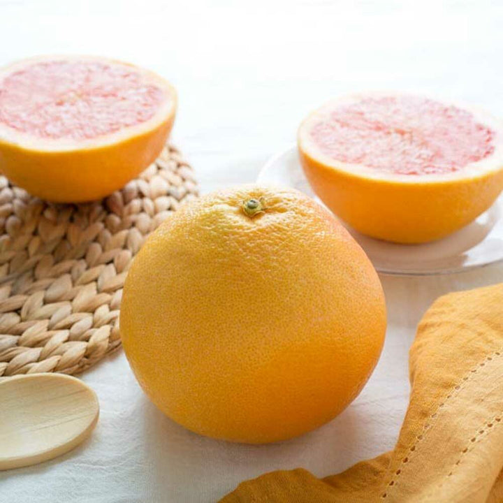 Grapefruit Flavor Concentrate, Organic