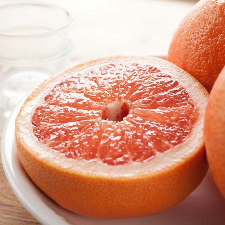 Organic Grapefruit Flavor Oil for Lip Balm