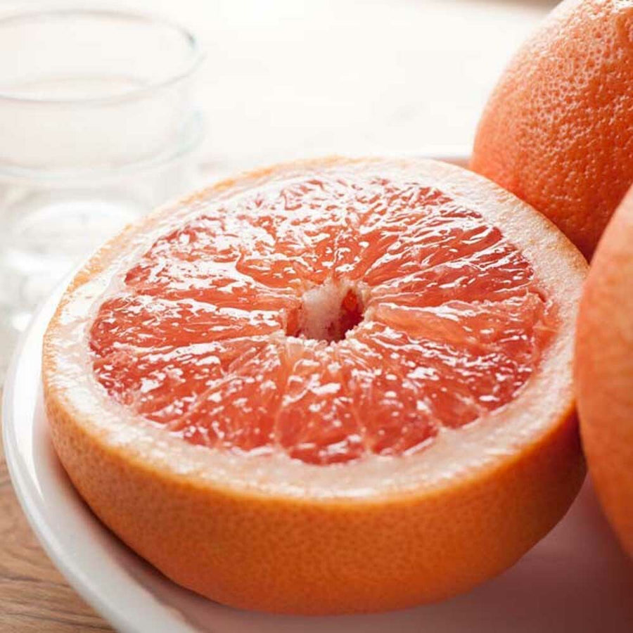 Organic Grapefruit Flavor Oil for Lip Balm