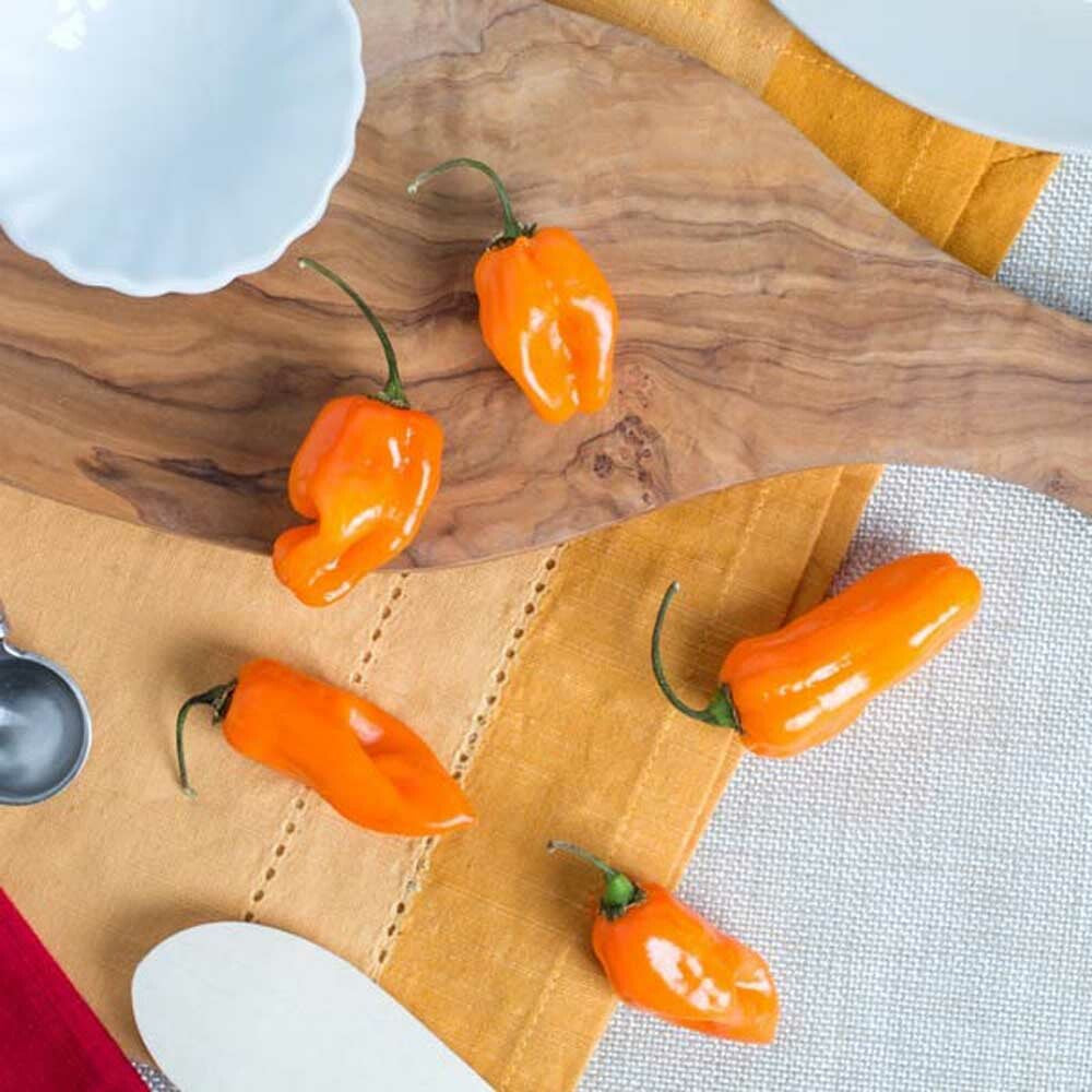 Habanero Flavor Extract, Natural