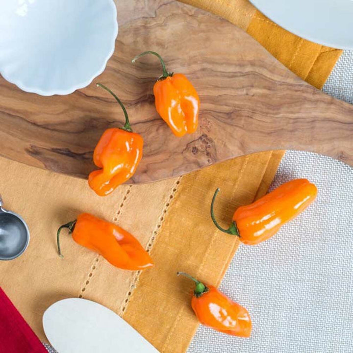 Habanero Flavor Extract, Natural