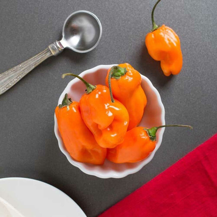 Habanero Flavor Oil, Natural