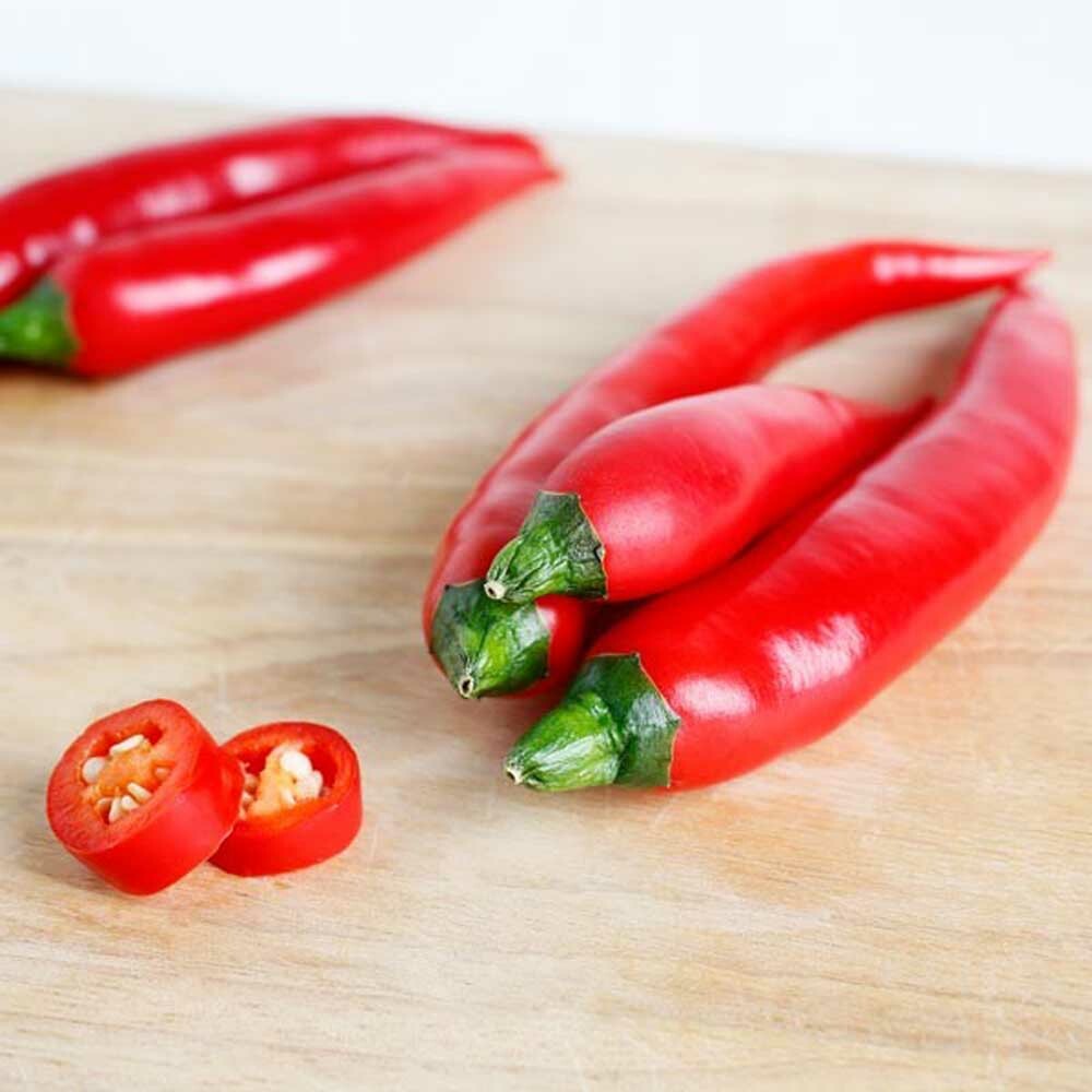 Harissa Chili Oil, Natural