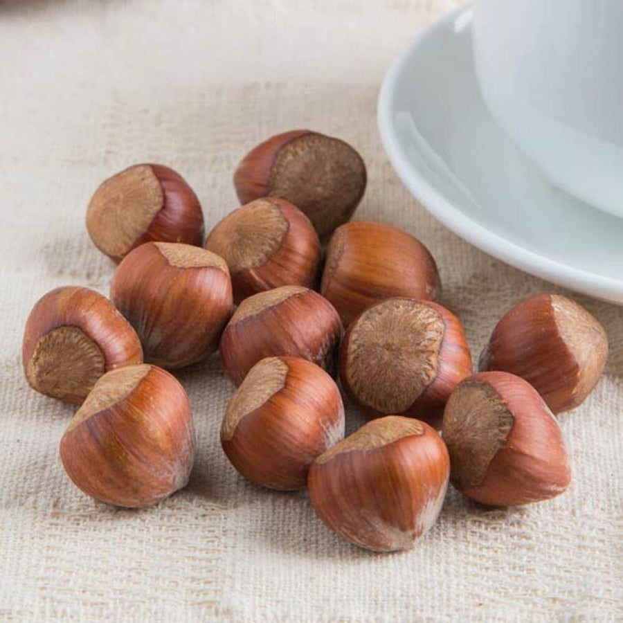 Hazelnut Syrup, Natural