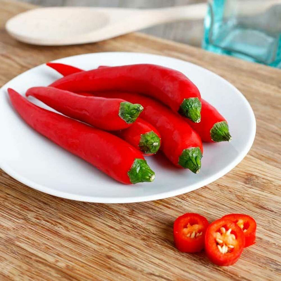 Chili Flavor Extract, Organic