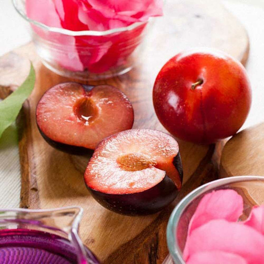 Japanese Plum Jasmine Flavor Concentrate, Organic