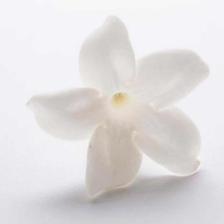 Jasmine Fragrance Oil (Alcohol Soluble)
