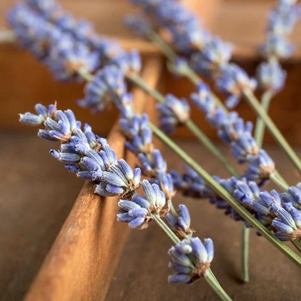 Lavender Flavor Oil for Lip Balm