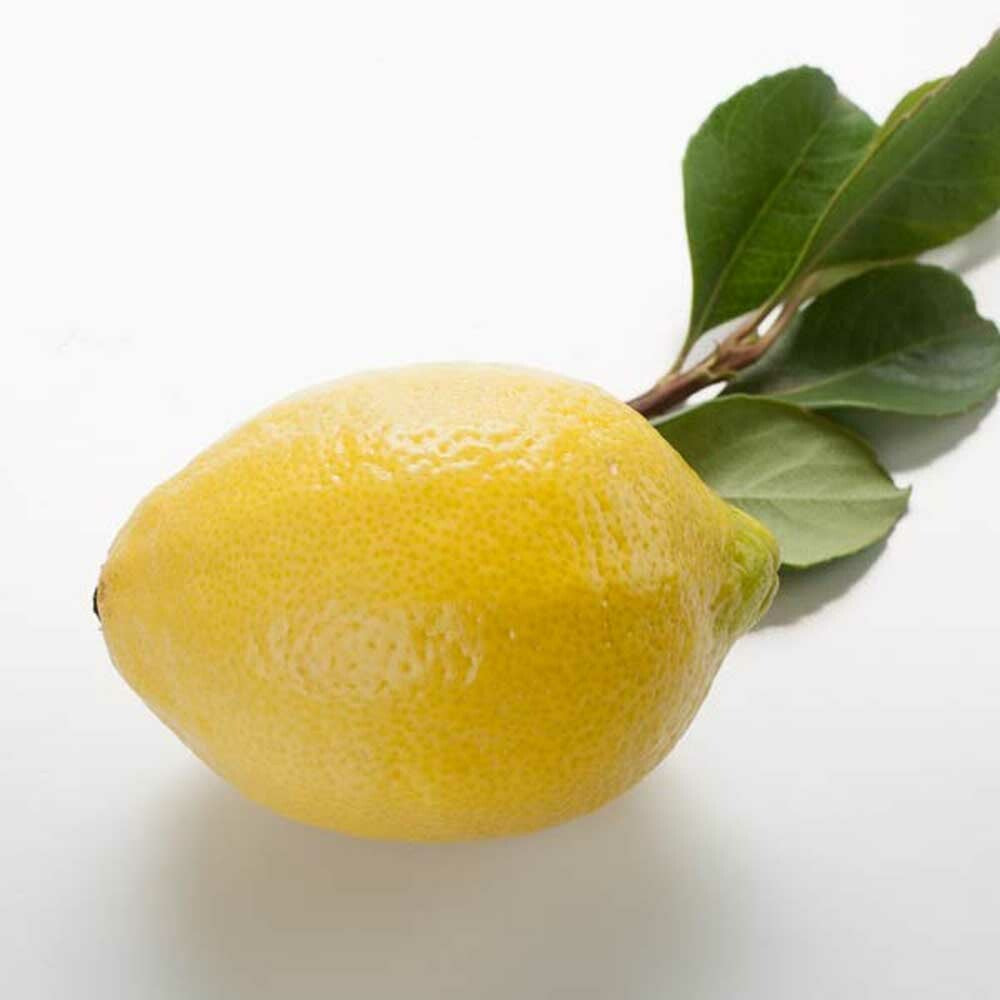 Lemon Fragrance Oil (Alcohol Soluble)