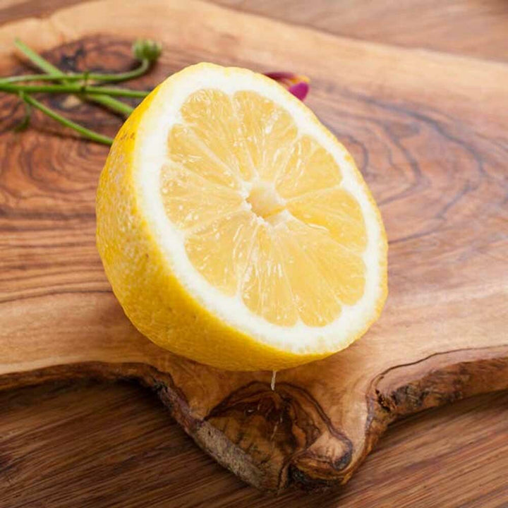 Lemon Italian Soda Syrup, Natural