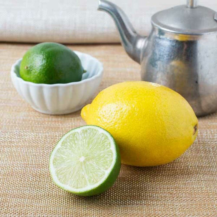 Lemon Lime Coffee Syrup, Natural