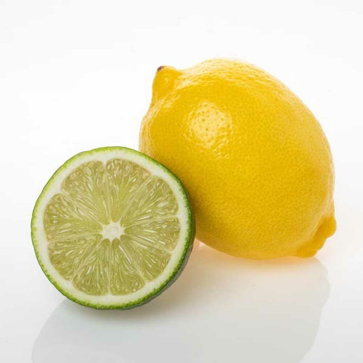 Lemon Lime Flavor Concentrate Without Diacetyl