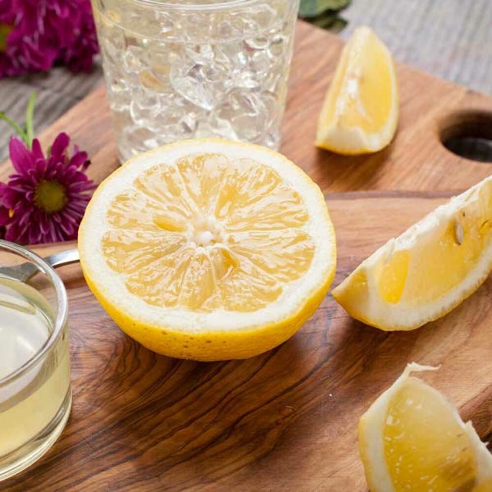 Lemon Sugar Fragrance Oil (Alcohol Soluble), Organic
