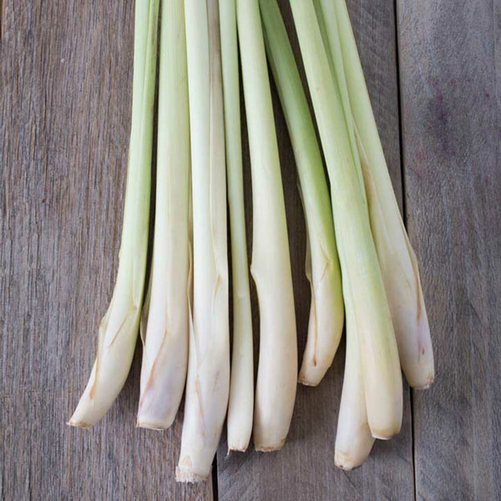 Organic Lemongrass Flavor Oil for Lip Balm