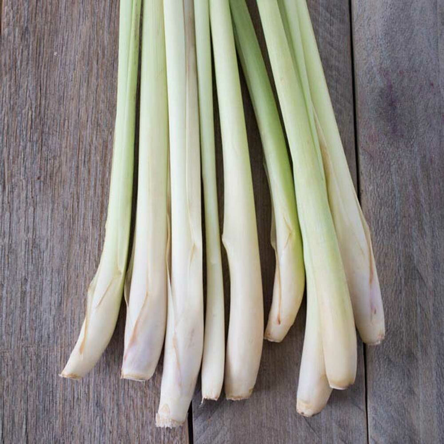 Organic Lemongrass Flavor Oil for Lip Balm