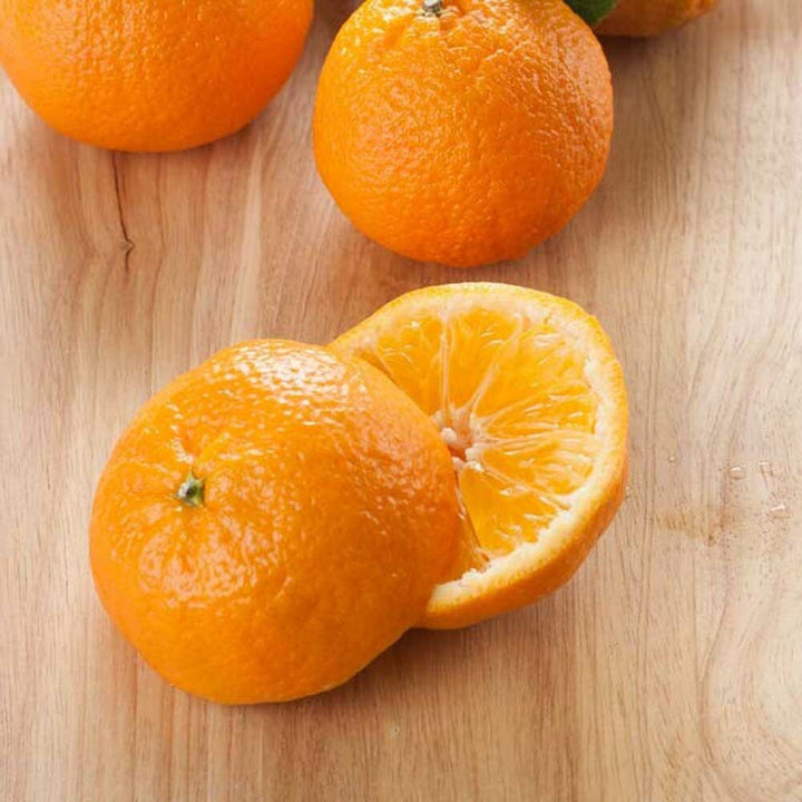 Organic Mandarin Orange Flavor Oil for Lip Balm