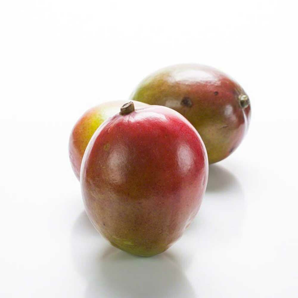 Mango Smoothie/Shake, Organic