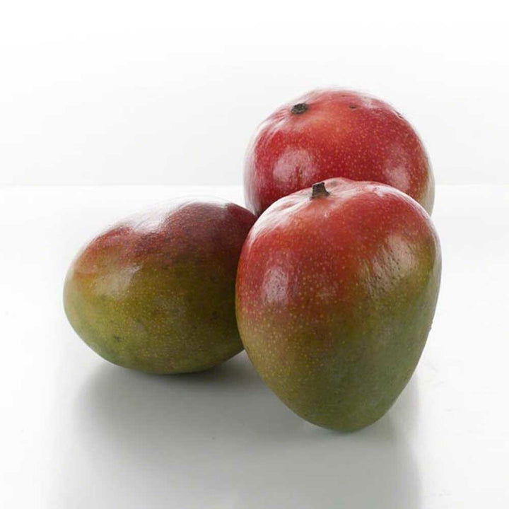 Mango Syrup, Natural