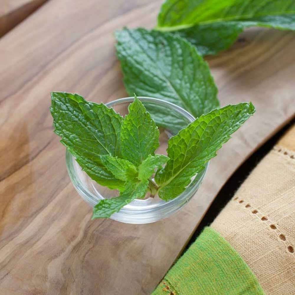 Menthol Flavor Concentrate, Organic