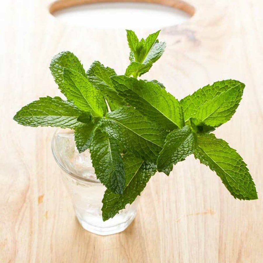 Organic Mint Flavor Extract Without Diacetyl