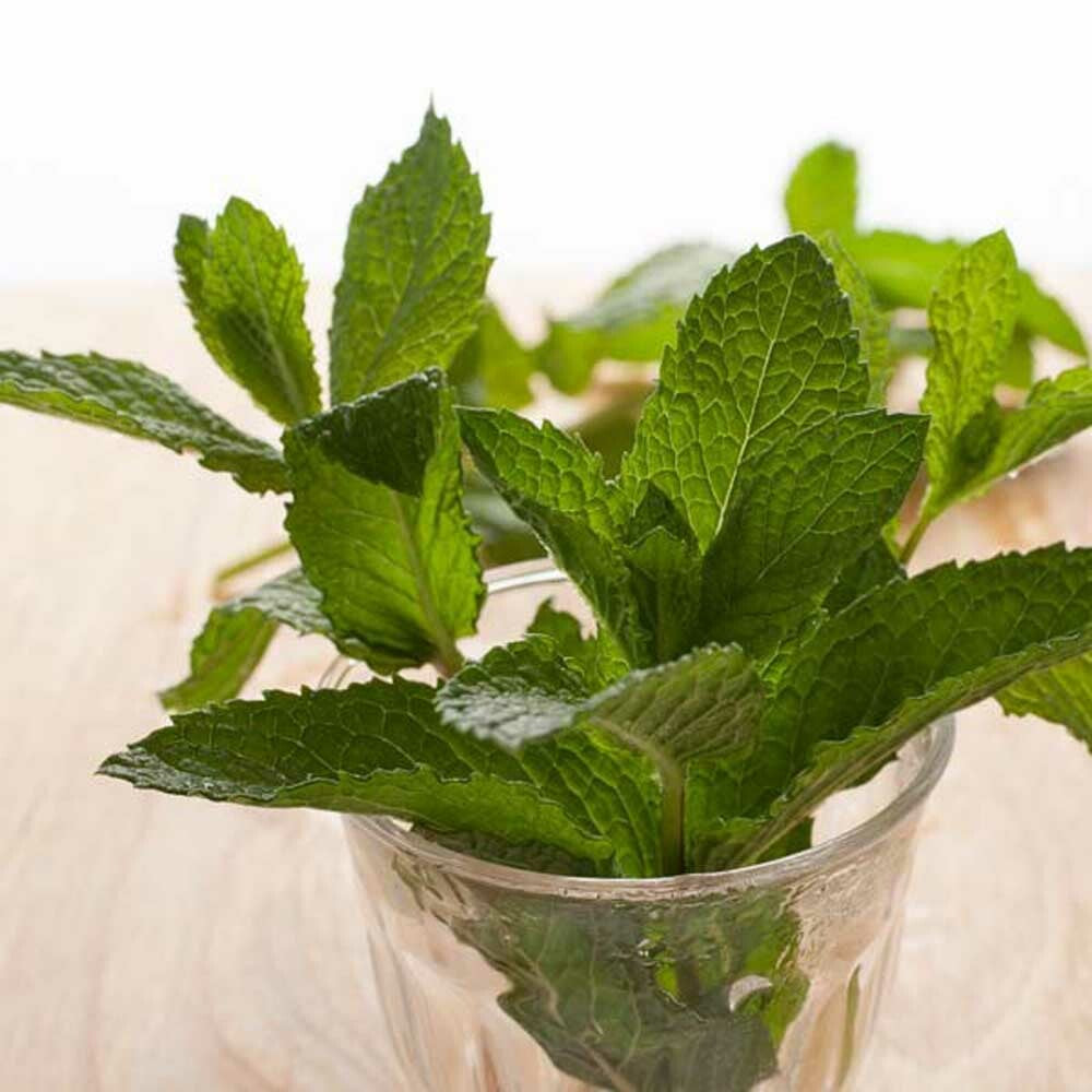 Organic Mint Flavor Oil For Chocolate