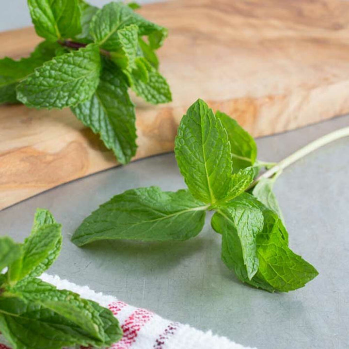 Mint Flavor Oil for Lip Balm