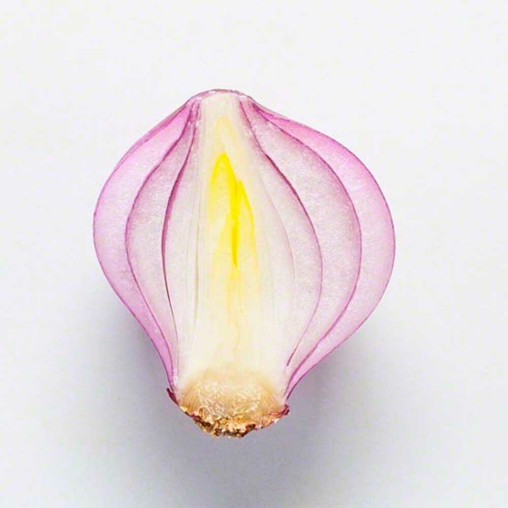 Organic Onion Flavor Extract Without Diacetyl