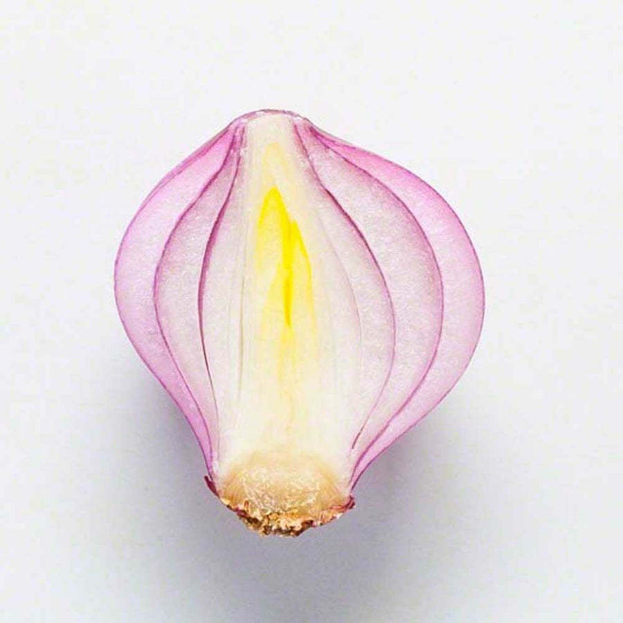 Organic Onion Flavor Extract Without Diacetyl
