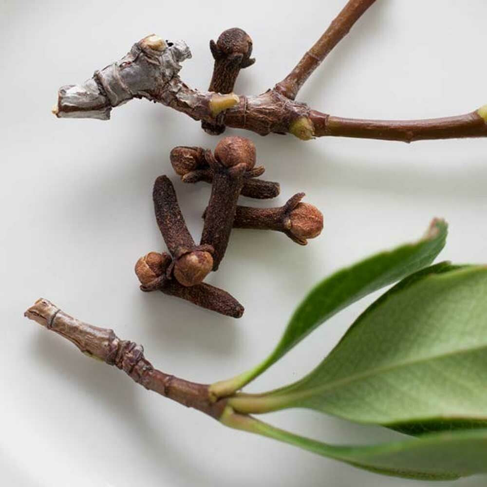 Orange Clove Fragrance Oil (Alcohol Soluble)