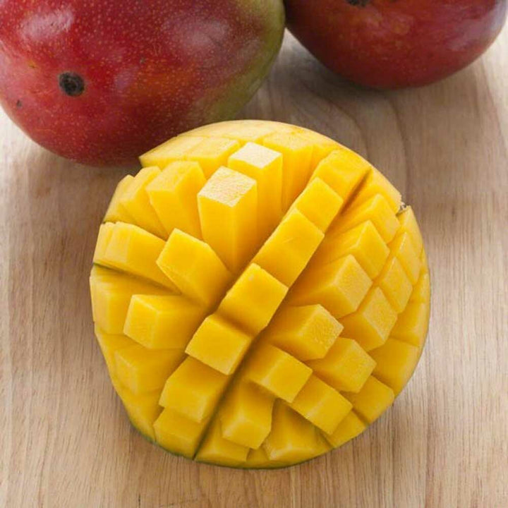 Organic Orange Mango Passion Fruit Flavor Oil for Lip Balm