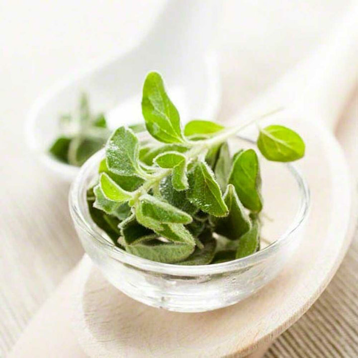 Oregano Flavor Concentrate, Organic