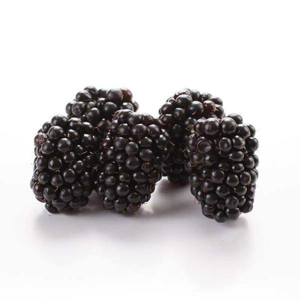 Organic Blackberry Puree (Sieved)