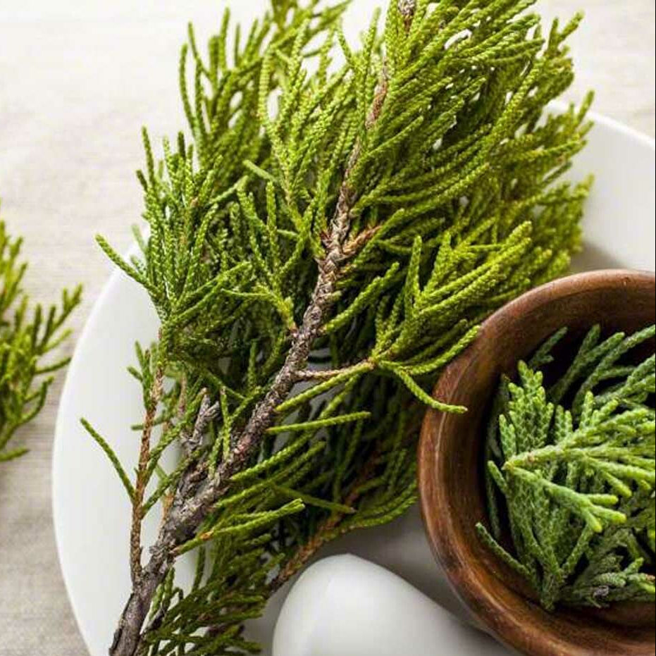 Organic Cedarwood Fragrance Powder