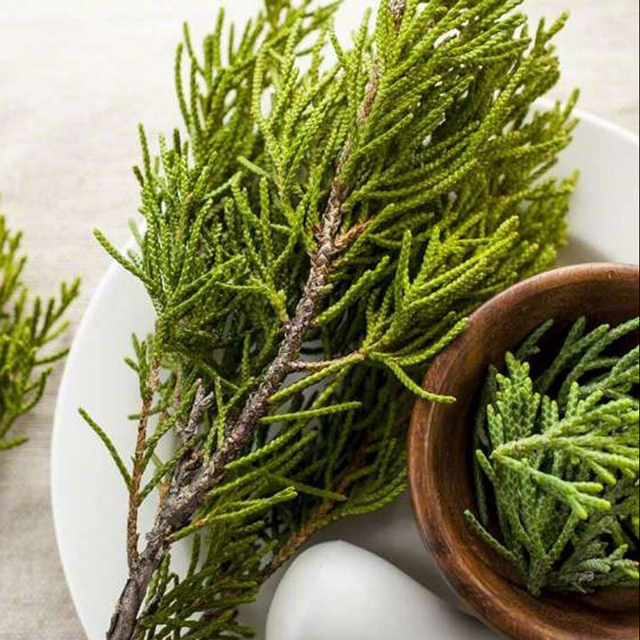 Organic Cedarwood Fragrance Powder