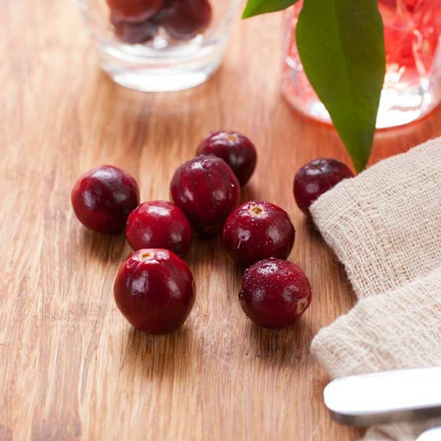 Organic Cranberry Apple Dip