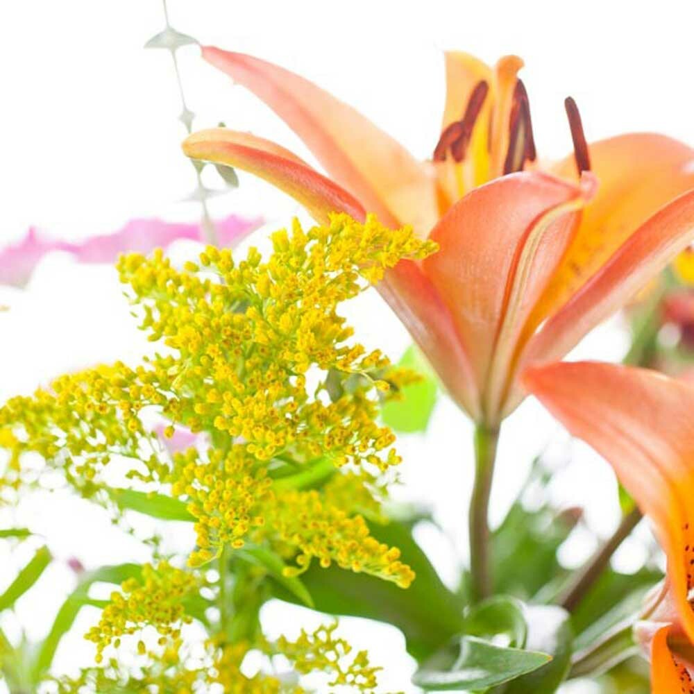 Organic Hawaiian Bouquet Fragrance Emulsion with Floral Notes (Water Soluble)