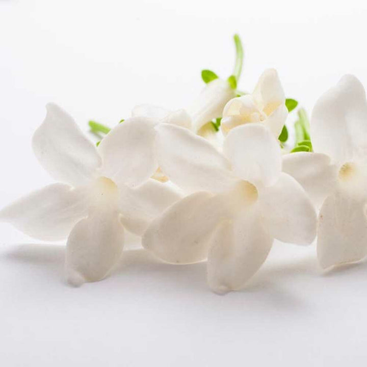 Organic Jasmine Fragrance Powder