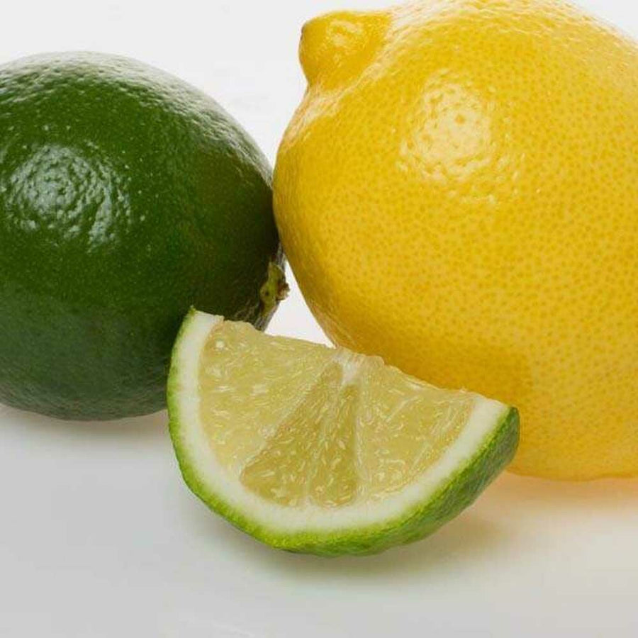 Organic Lemon Lime Flavor Sports Drink Concentrate
