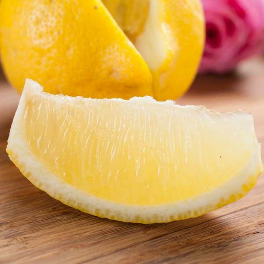 Organic Lemon Verbena Fragrance Emulsion (Water Soluble)